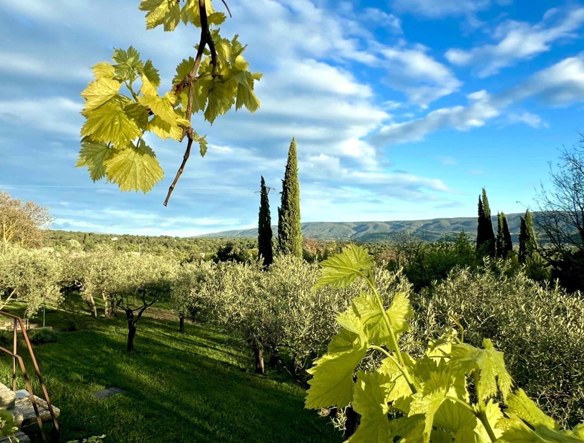 Provence Km28 Bed & Breakfast Gordes Exterior photo