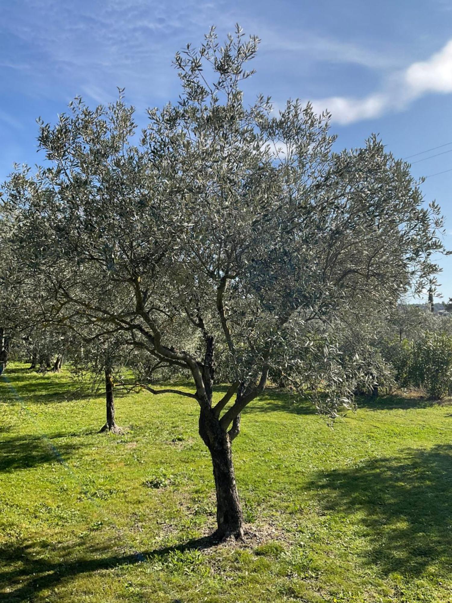 Provence Km28 Bed & Breakfast Gordes Exterior photo
