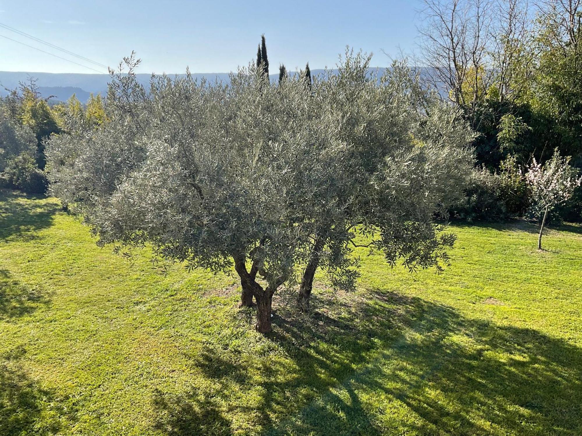 Provence Km28 Bed & Breakfast Gordes Exterior photo
