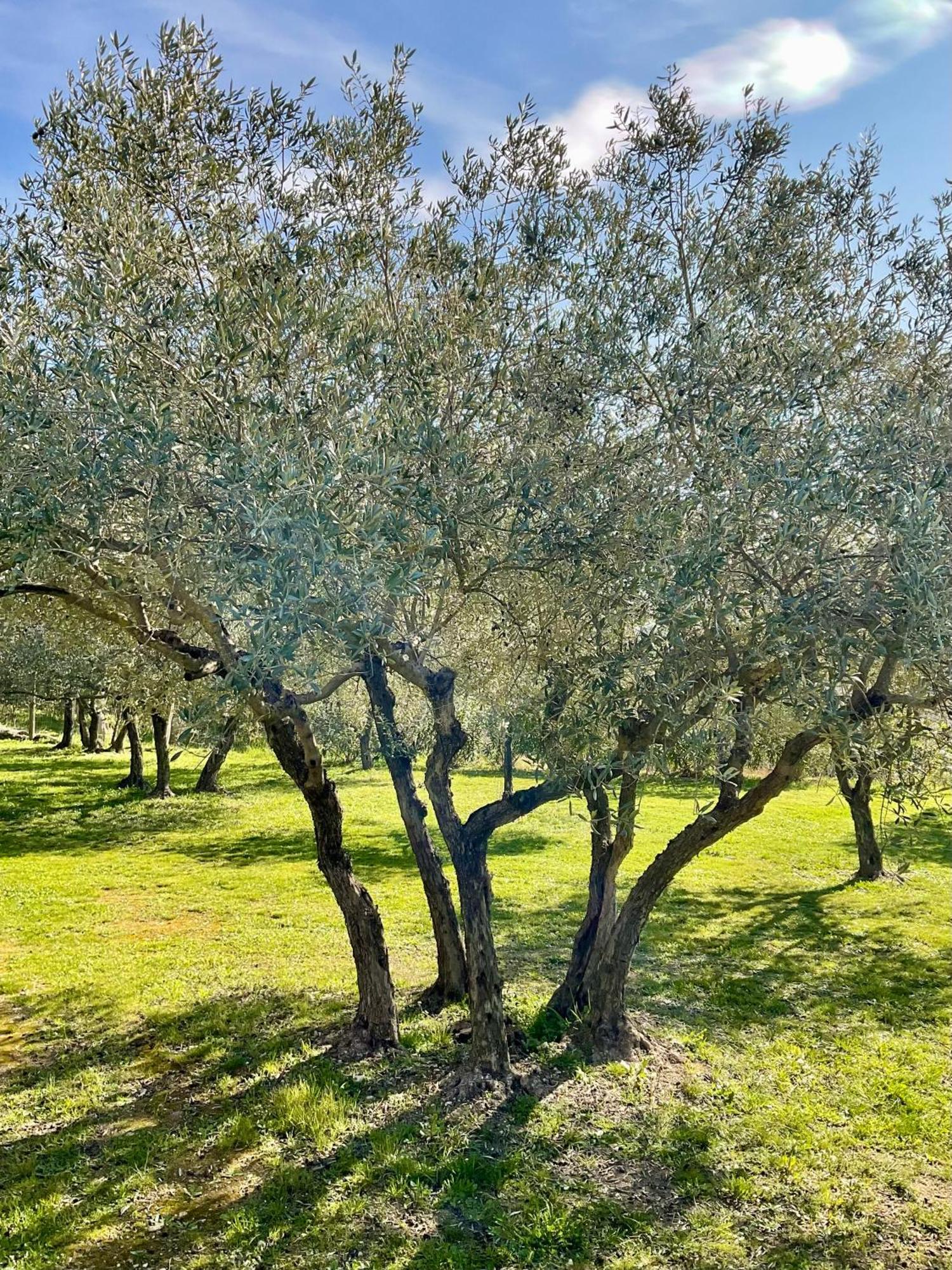 Provence Km28 Bed & Breakfast Gordes Exterior photo
